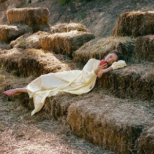 Everything I know about love